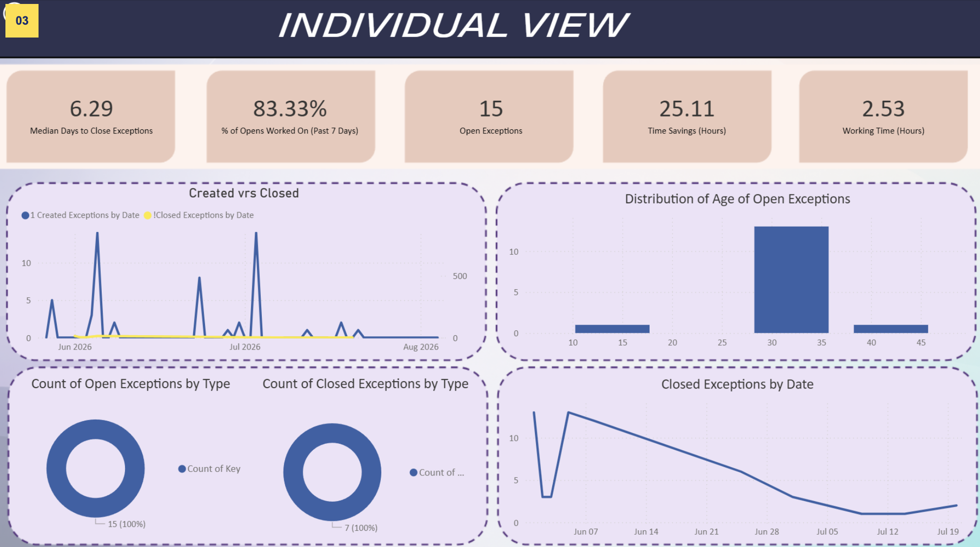 Individual View dashboard screenshot
